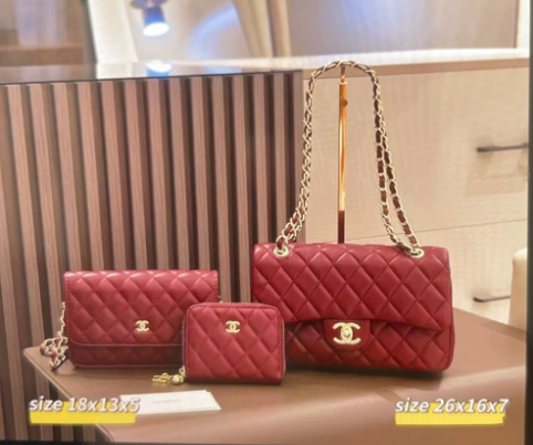 Chanel burgendy bag set