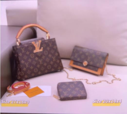 LV brown capucine bag set