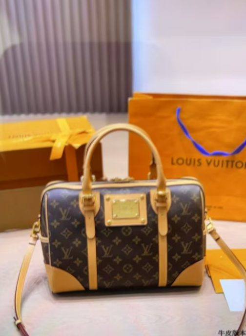 LV brown bag 30