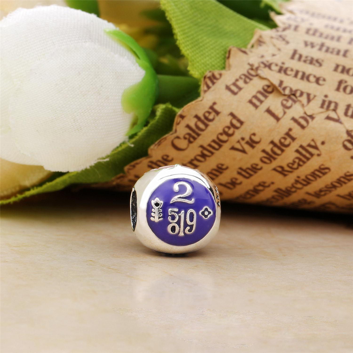 S925 ALE pandora Park It's a Small World Charm SILVER