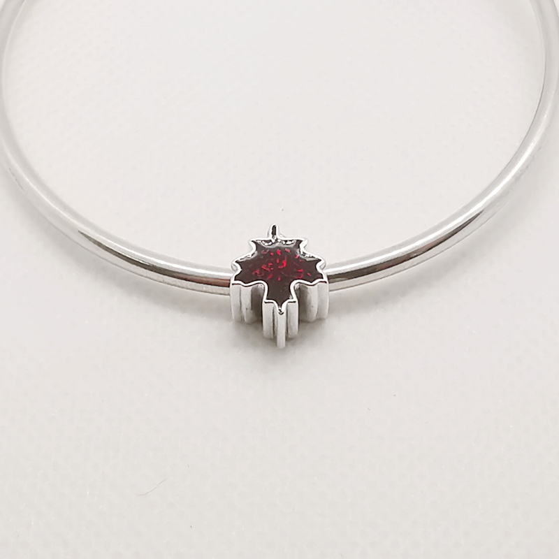 pandora love canada charm