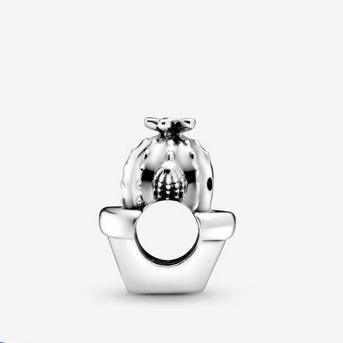 Pandora Sterling Silver Free Hugs Cactus Love Charm Flower Pot bead