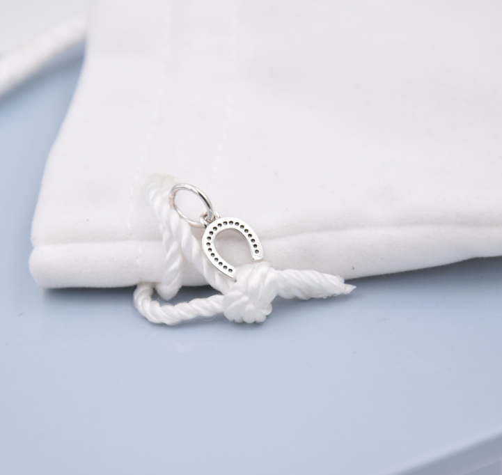 symbol of luck pandora dangle horseshoe pendant/charm