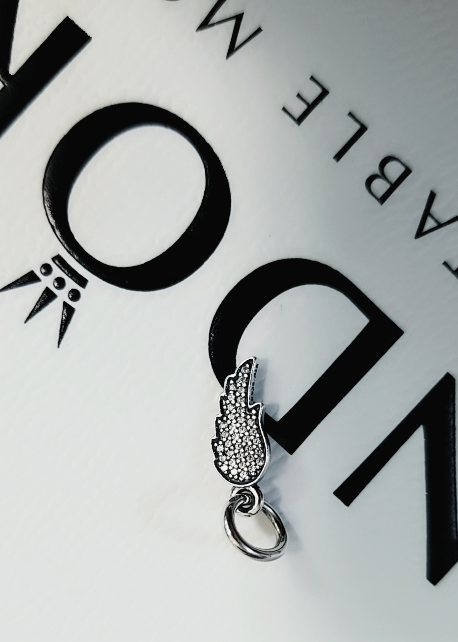 pandora symbol of guidance clear cz charm
