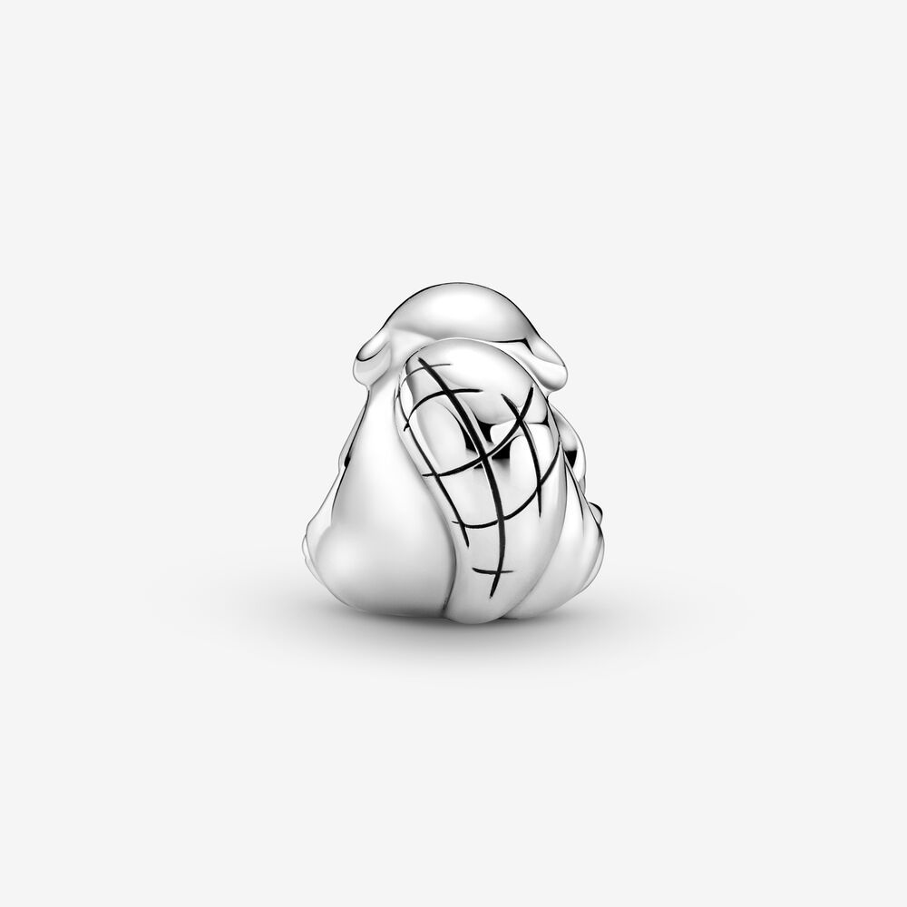 pandora canadian beaver & maple leaf charm