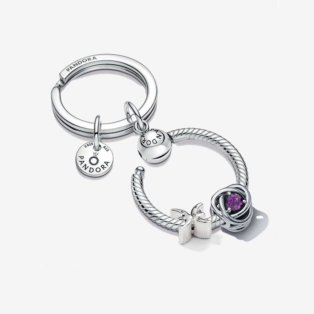 pandora  pisces zodiac charm & february birthstone charm key ring set rau0989