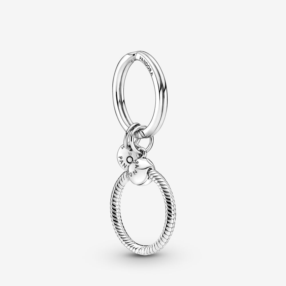 pandora  february birthday charm & aquarius zodiac charm key ring set rau0990