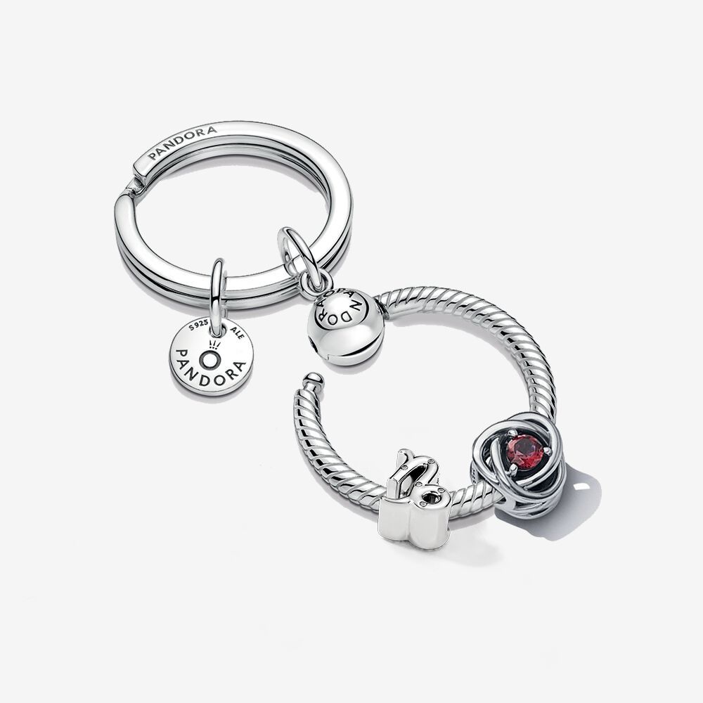 pandora  january birthday charm & capricorn zodiac charm key ring set