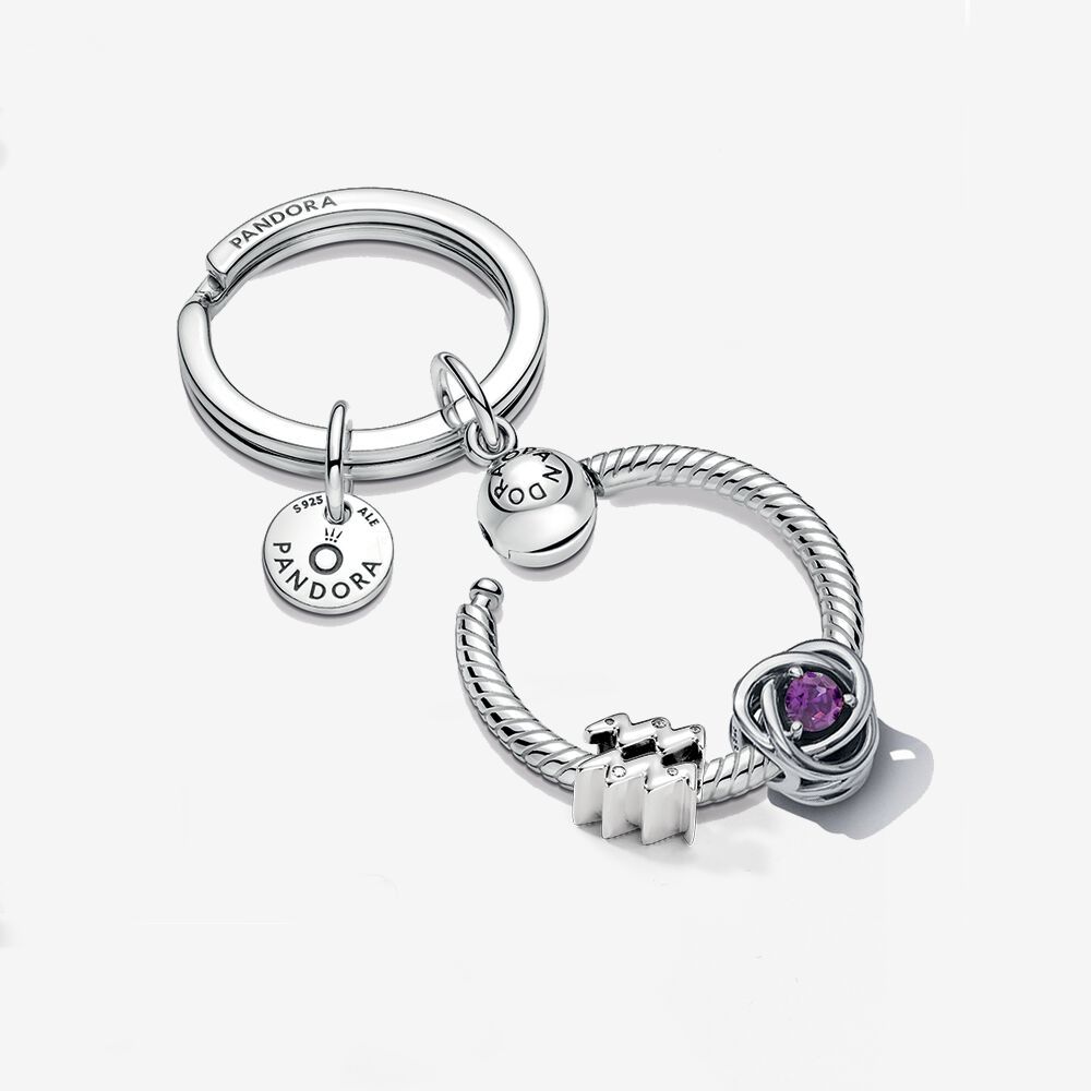 pandora  february birthday charm & aquarius zodiac charm key ring set rau0990