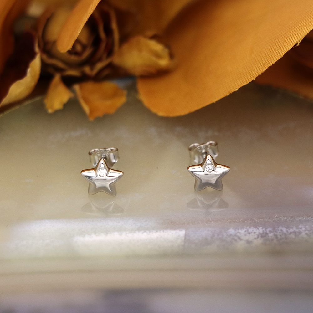 S925 Sterling Silver Mini Star Stud Earrings
