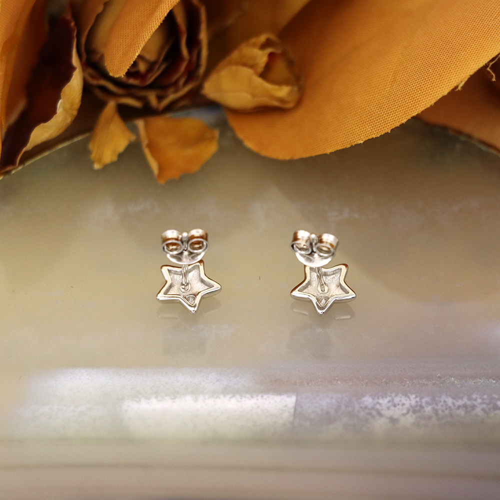 S925 Sterling Silver Mini Star Stud Earrings