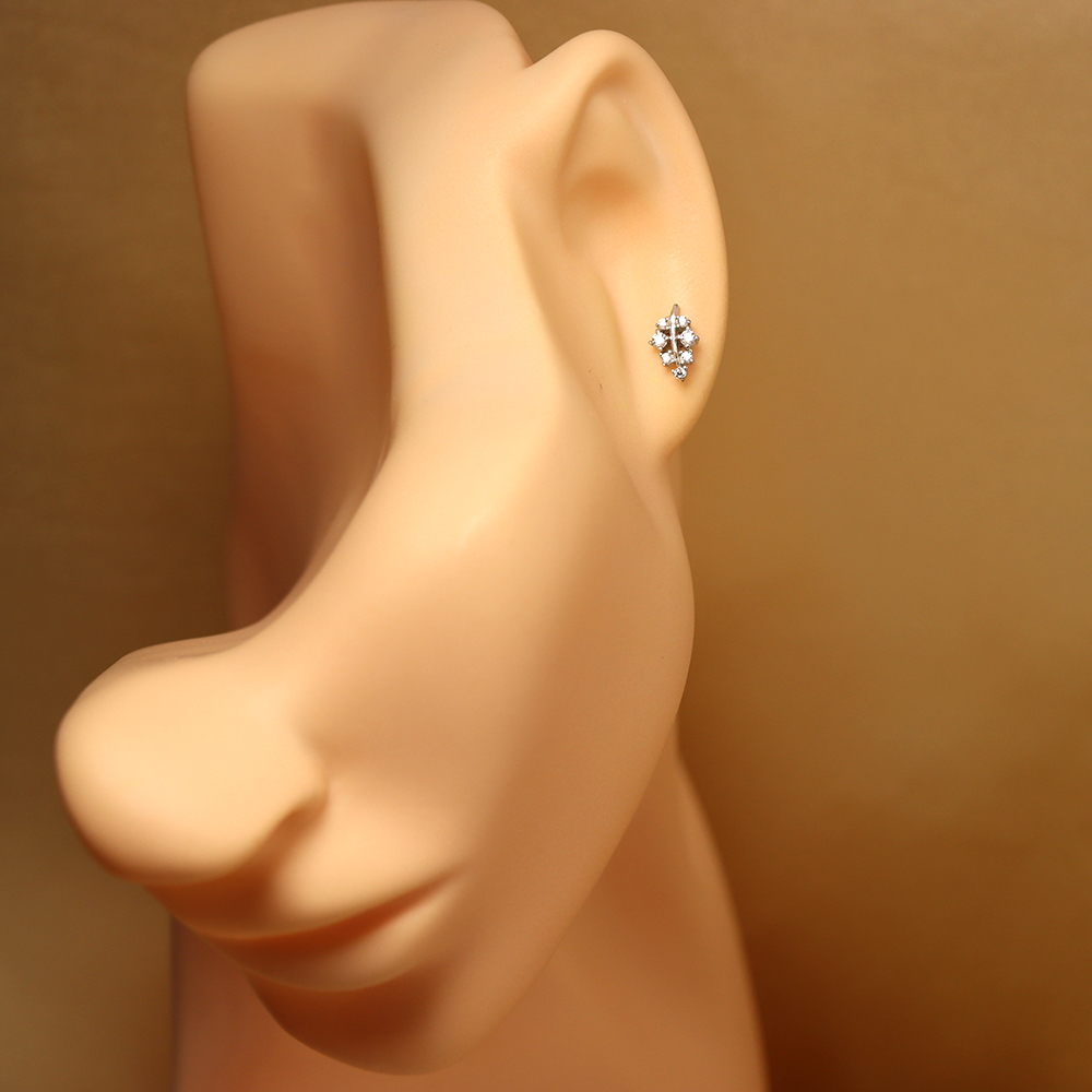 S925 Sterling Silver Leaf Zirconia Stud Earrings - Micro-Pave Earrings
