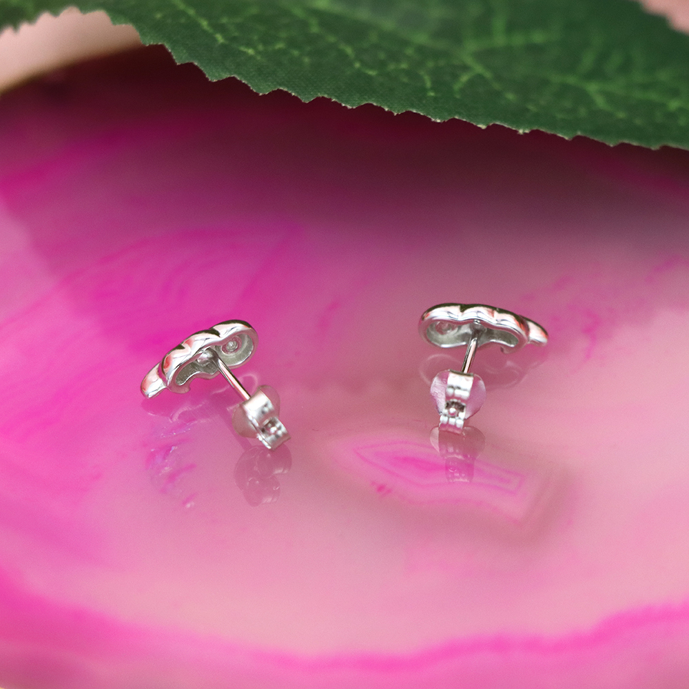 S925 Sterling Silver Leaf - shaped Micro - Inlaid Diamond Stud Earrings