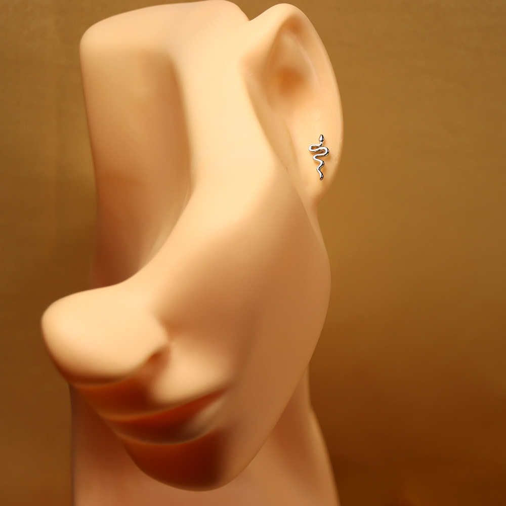 S925 Sterling Silver Individualistic Snake-shaped Earrings