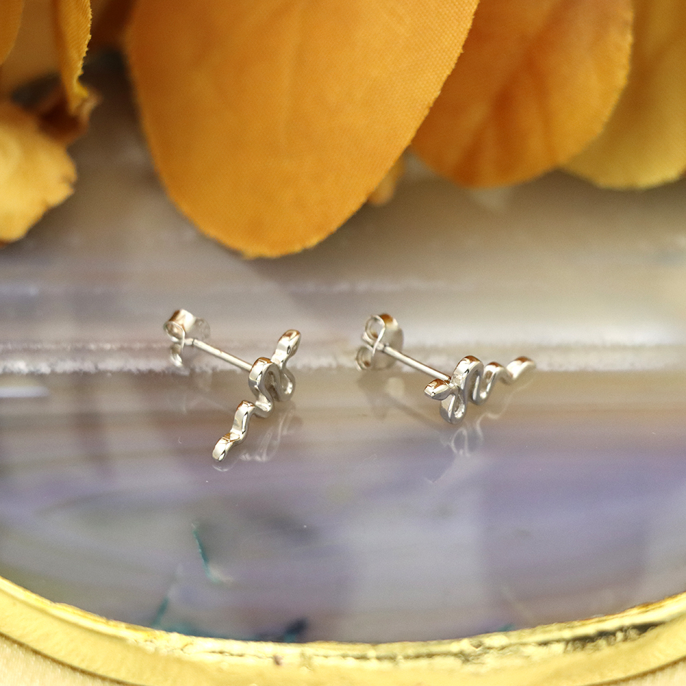S925 Sterling Silver Individualistic Snake-shaped Earrings