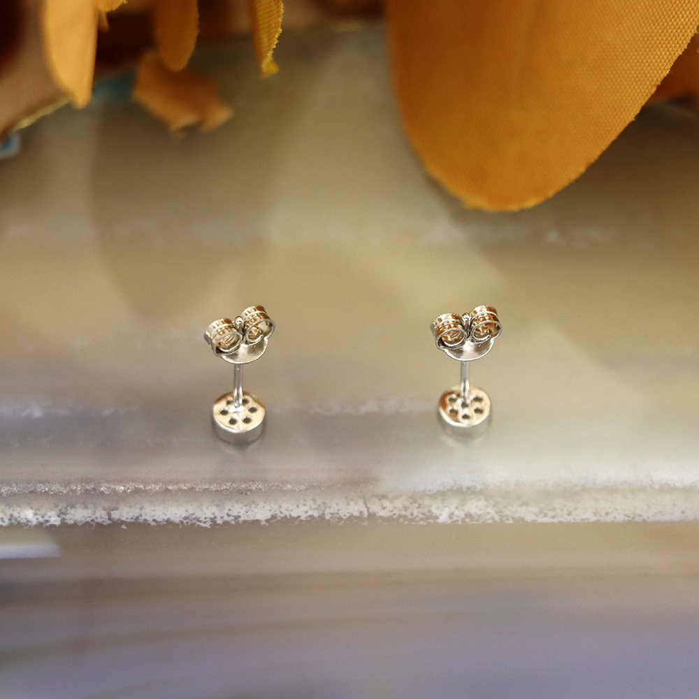 S925 Sterling Silver Round Micro-Inlaid Earrings