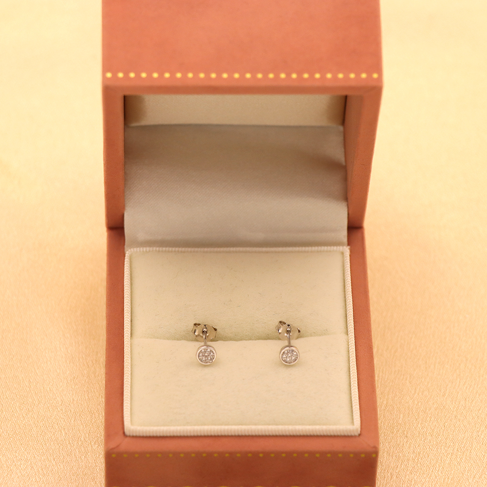 S925 Sterling Silver Round Micro-Inlaid Earrings