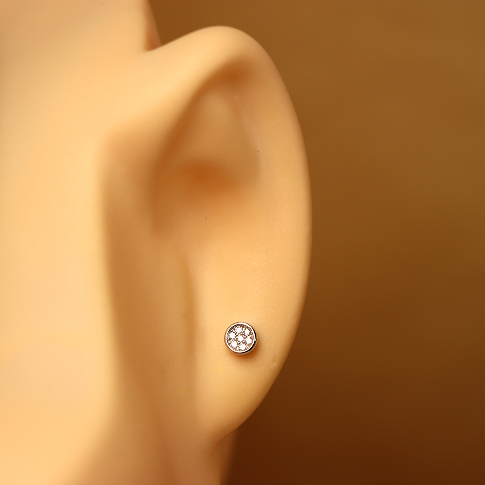 S925 Sterling Silver Round Micro-Inlaid Earrings