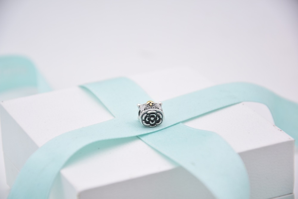 Pandora Bead Bicolour Jewelry Box