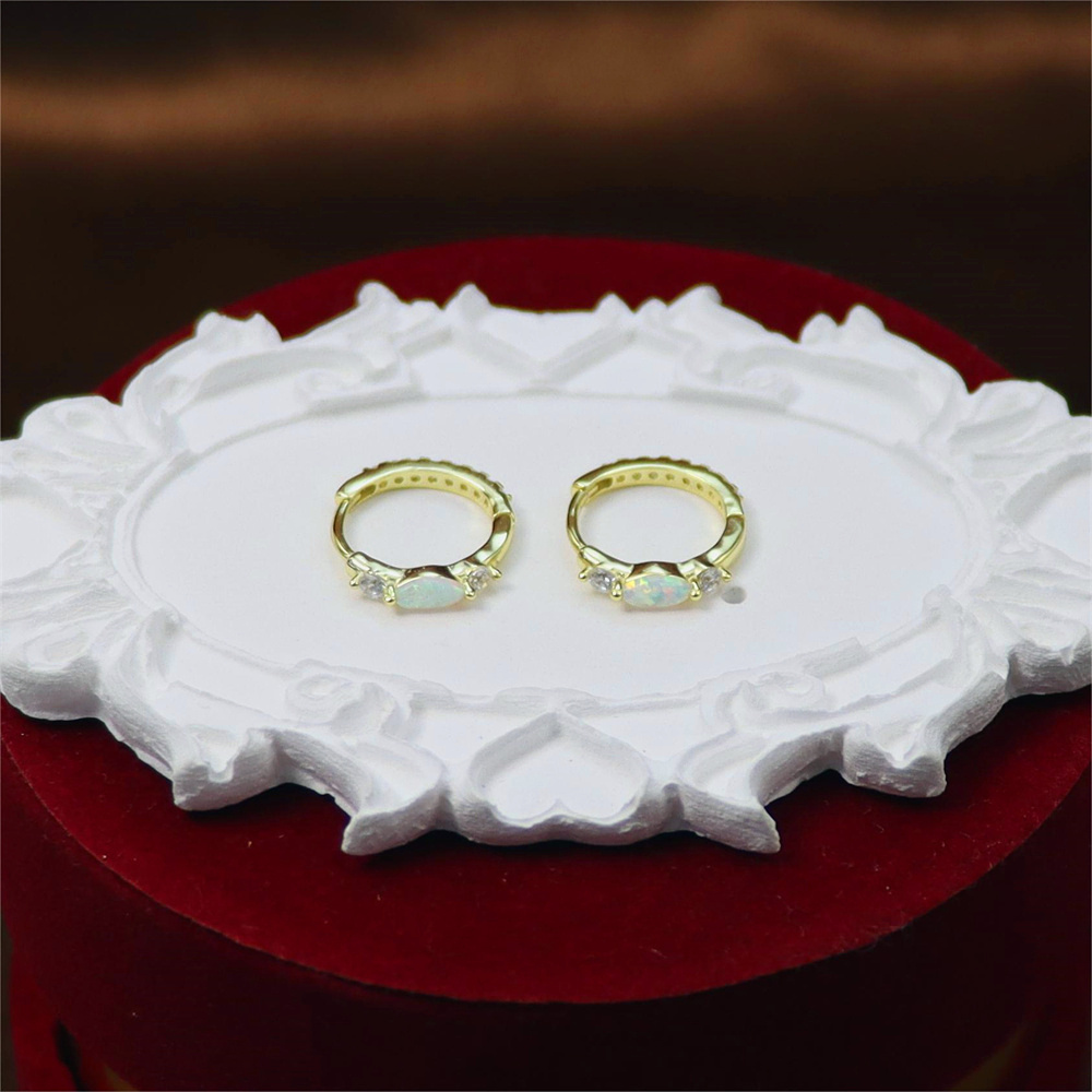 S925 Sterling Silver Round Micro-Inlaid Zircon Opal Ear Buckle Earrings – Premium Style Jewelry