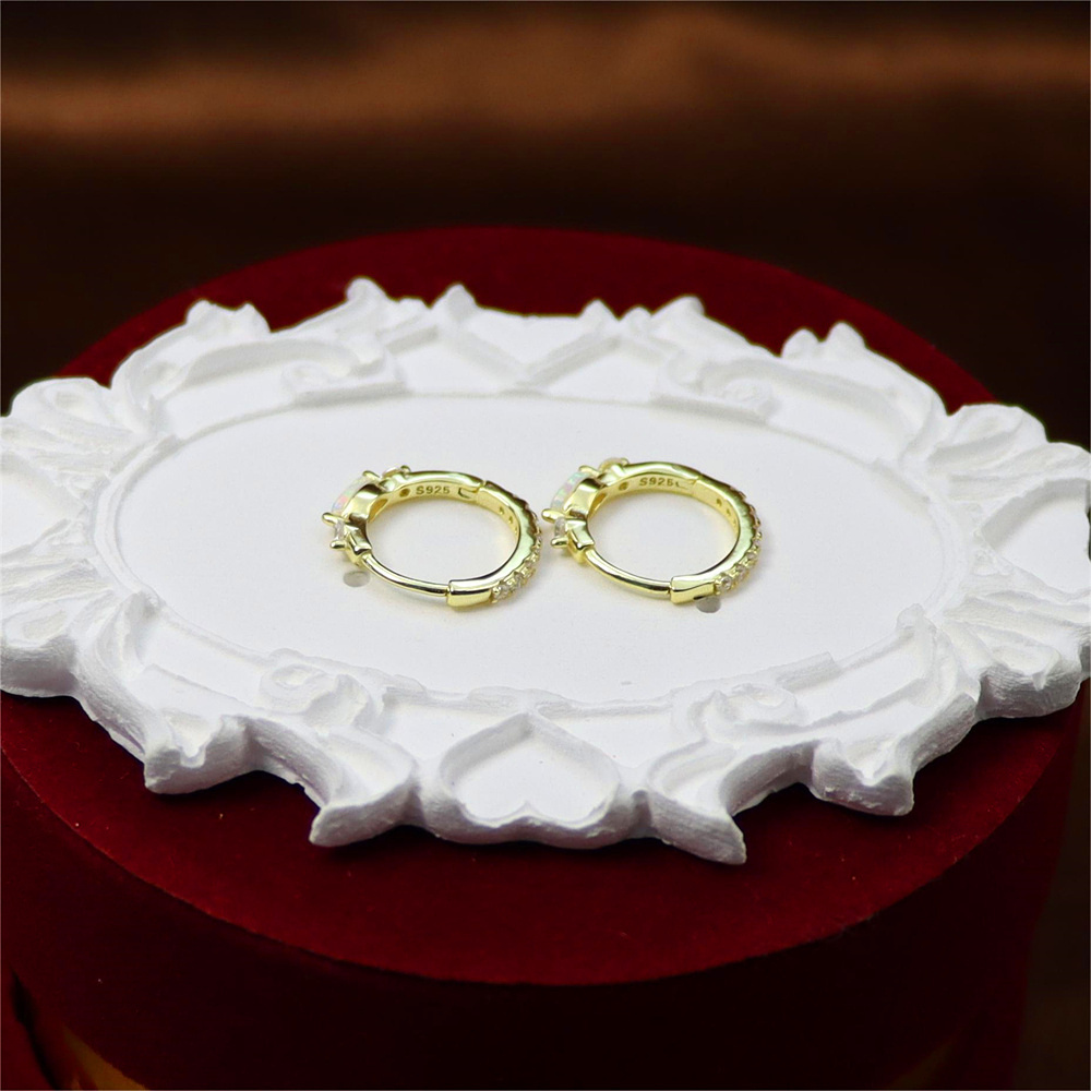 S925 Sterling Silver Round Micro-Inlaid Zircon Opal Ear Buckle Earrings – Premium Style Jewelry
