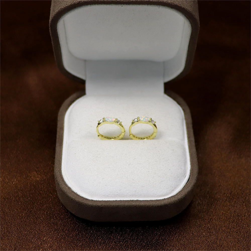S925 Sterling Silver Round Micro-Inlaid Zircon Opal Ear Buckle Earrings – Premium Style Jewelry