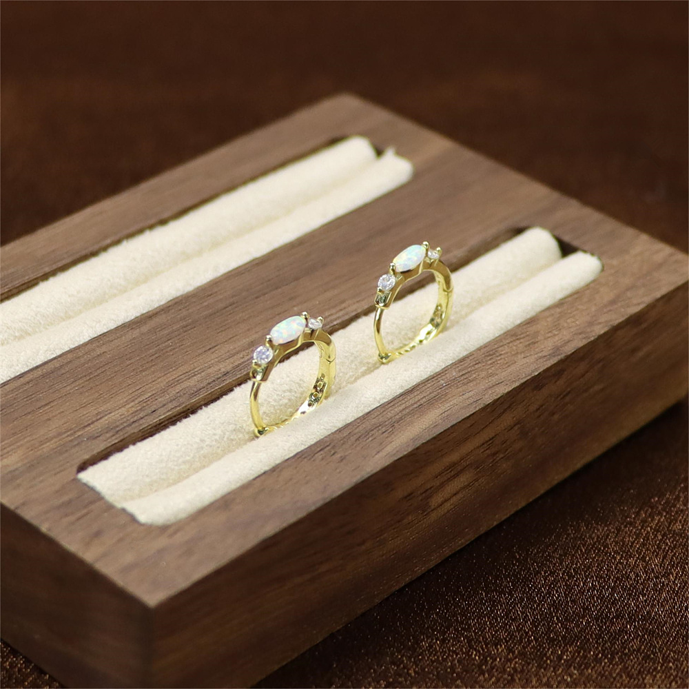 S925 Sterling Silver Round Micro-Inlaid Zircon Opal Ear Buckle Earrings – Premium Style Jewelry