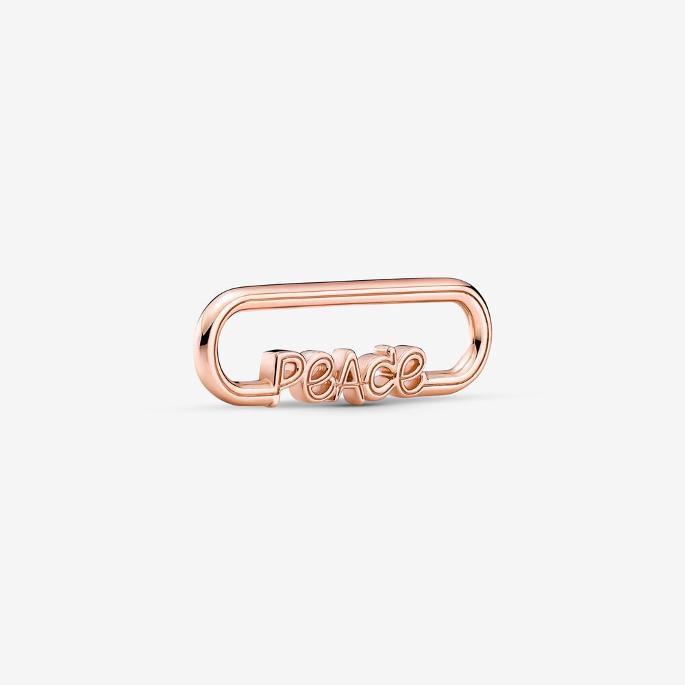 Pandora ME Link Chain Get look  Beabadoobee