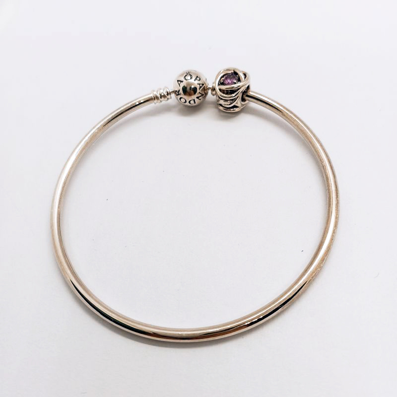 Pandora February Birthstone Charm Eternity Circle Bangle Gift Set ALE S925