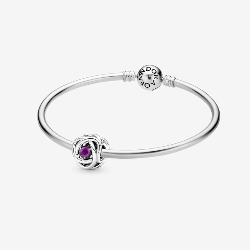 Pandora February Birthstone Charm Eternity Circle Bangle Gift Set ALE S925
