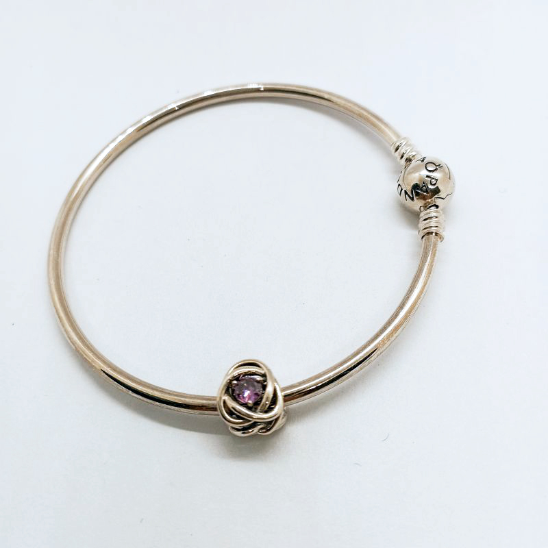 Pandora February Birthstone Charm Eternity Circle Bangle Gift Set ALE S925