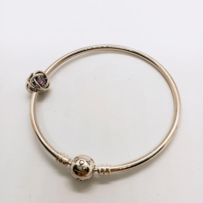 Pandora February Birthstone Charm Eternity Circle Bangle Gift Set ALE S925