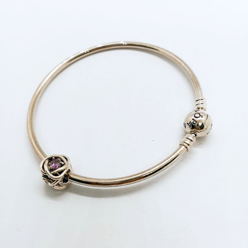 Pandora February Birthstone Charm Eternity Circle Bangle Gift Set ALE S925