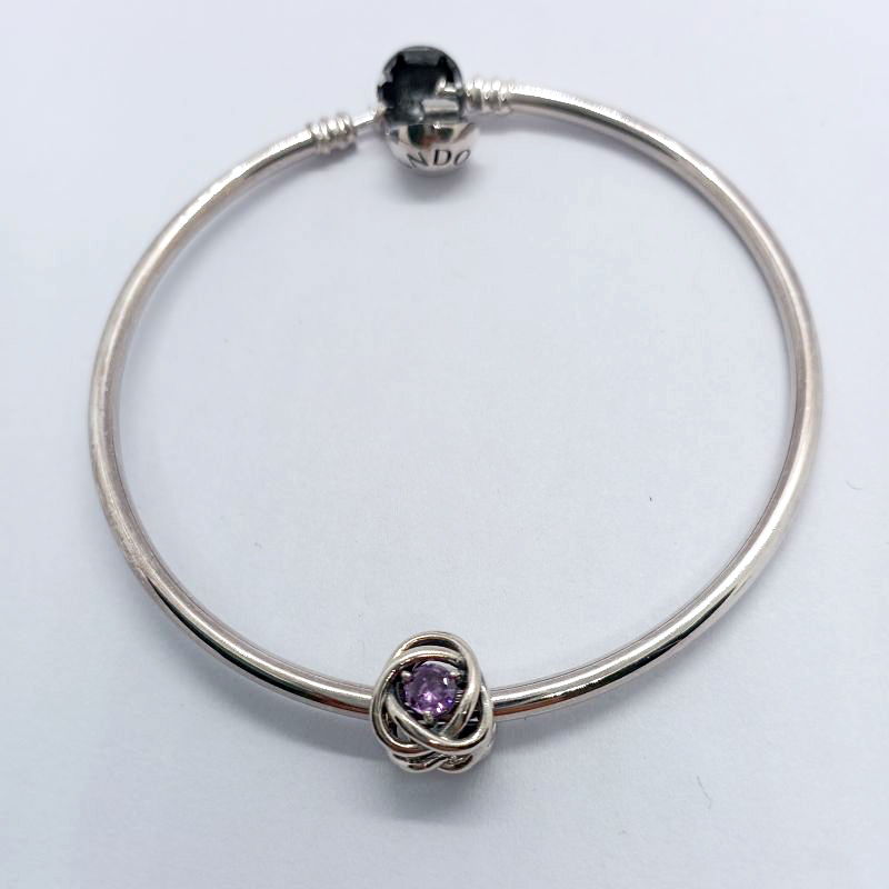 Pandora February Birthstone Charm Eternity Circle Bangle Gift Set ALE S925