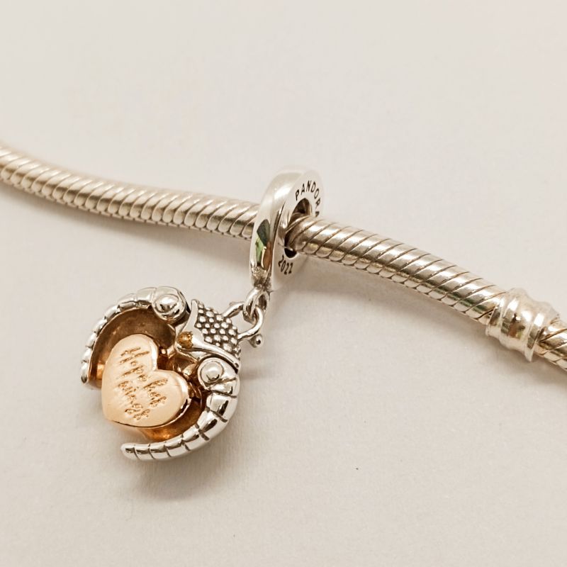 Pandora Ladybird Heart Dangle Charm Club 2022 ALE Gift bag