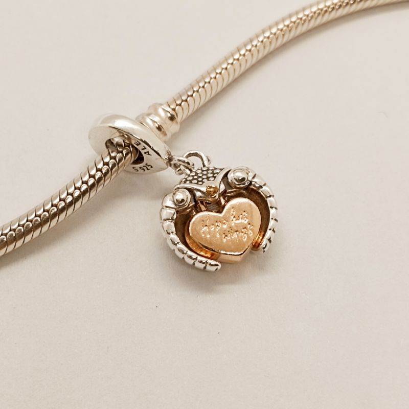 Pandora Ladybird Heart Dangle Charm Club 2022 ALE Gift bag