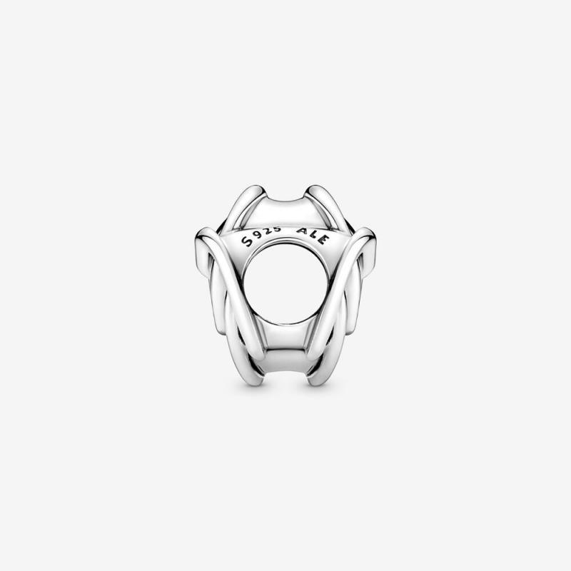 Pandora Family Always Encircled Heart Charm