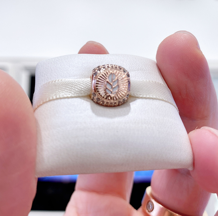 Pandora Hamsa All-seeing Eye Feather Three-sided  Charm