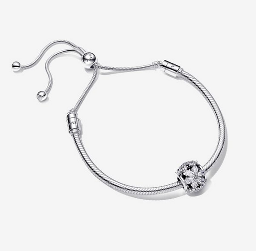 PANDORA Shine Sliding Chain Charm Cluster Charm and Bracelet Set ALE S925