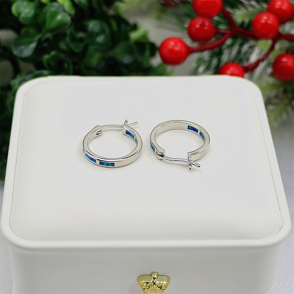Tiny Blue Opal Hoop Earrings, Opal Small Circle Earrings, Dainty Celestial Jewelry, Whimsical Gift for Women