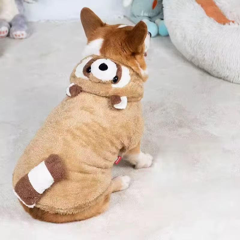 Cute Raccoon Hoddie