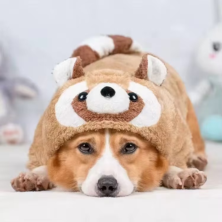 Cute Raccoon Hoddie
