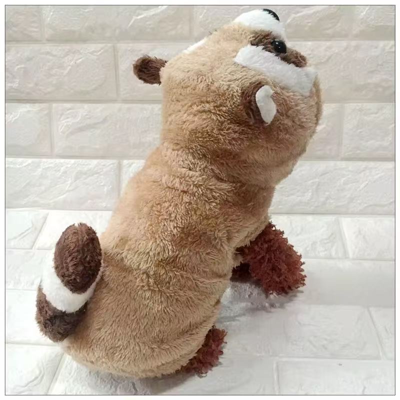 Cute Raccoon Hoddie