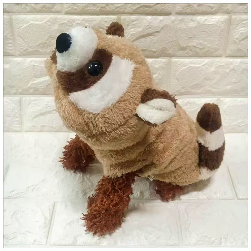 Cute Raccoon Hoddie
