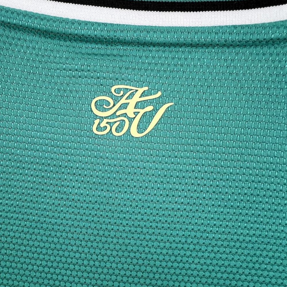 2024/2025 Aston Villa Special Football Shirt （Fans）