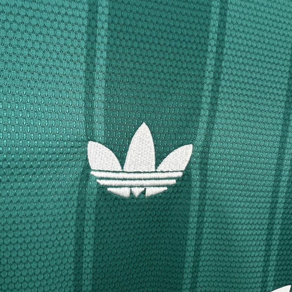 2024/2025 Aston Villa Special Football Shirt （Fans）
