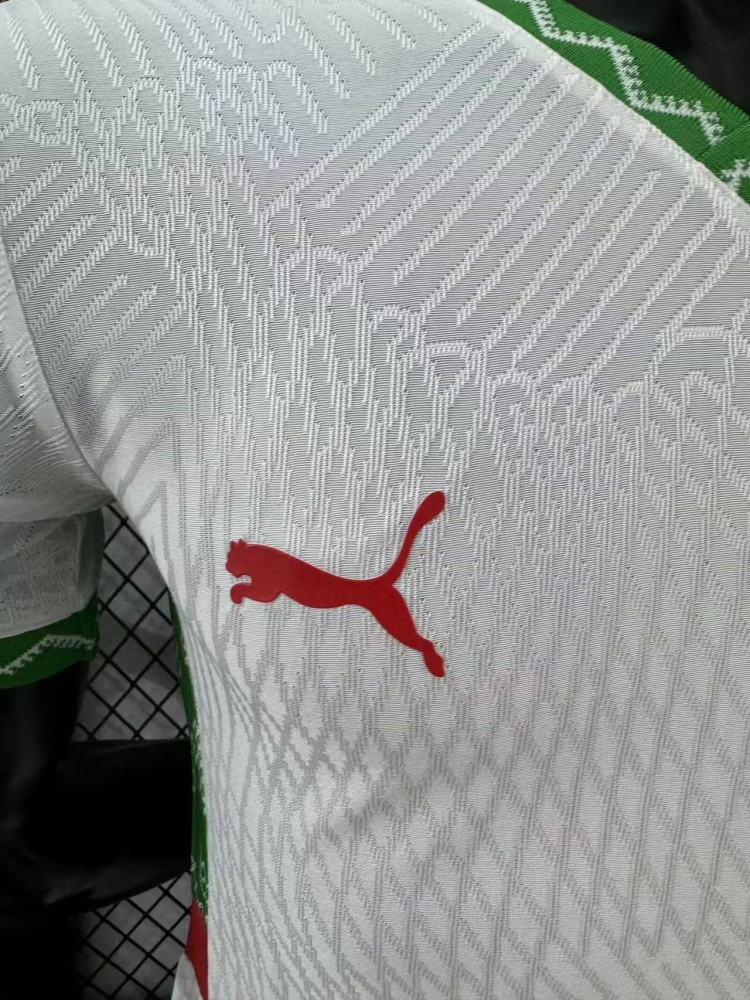 2024/2025 Morocco Away Football Shirt （Player Edition）