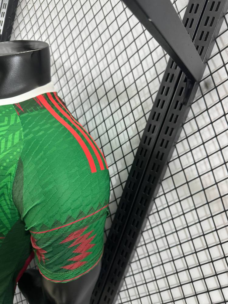 2025/2026 Mexico Special Edition Football Shirt （Player Edition）