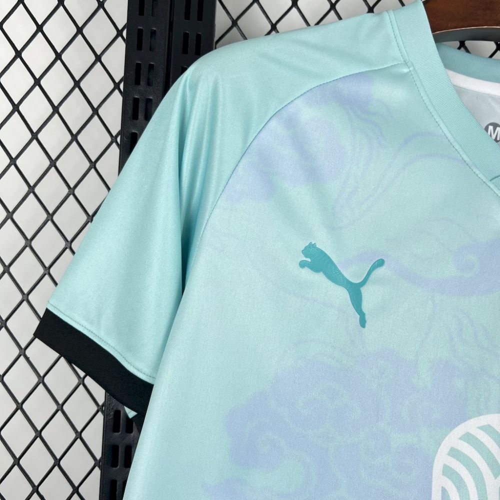 2025/2026 Morocco Special Edition Football Shirt （Fan Edition）