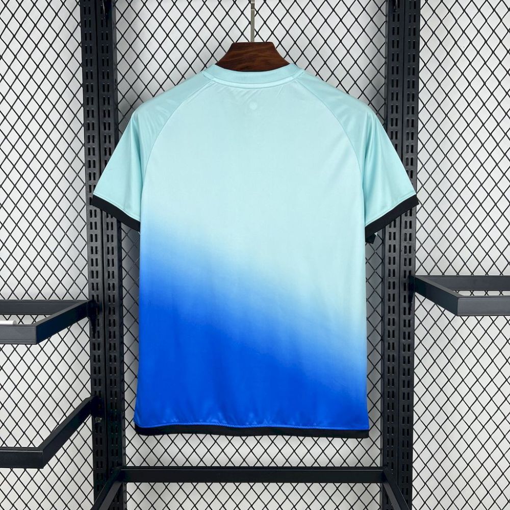 2025/2026 Morocco Special Edition Football Shirt （Fan Edition）